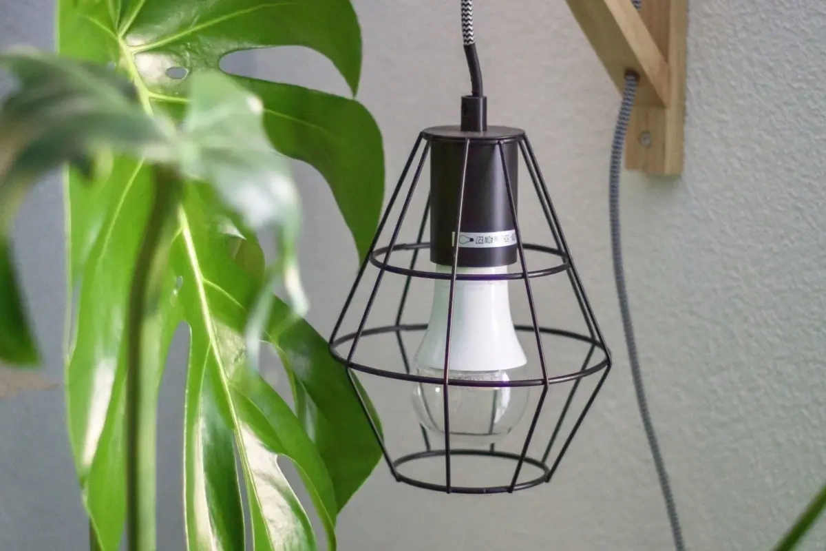 Hvilken lampe skal du hænge på væggen? Her er fem gode bud